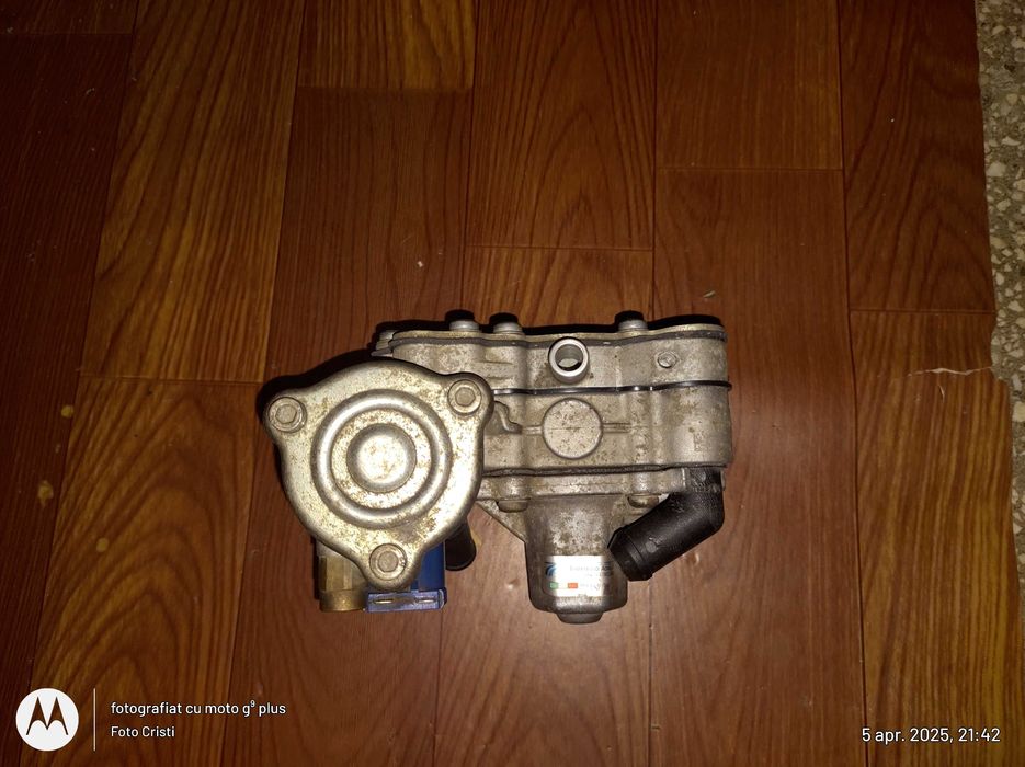 Plaman gpl Tomaseto Alaska AT09