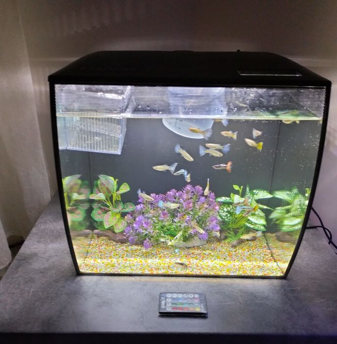 Acvariu fluvial flex