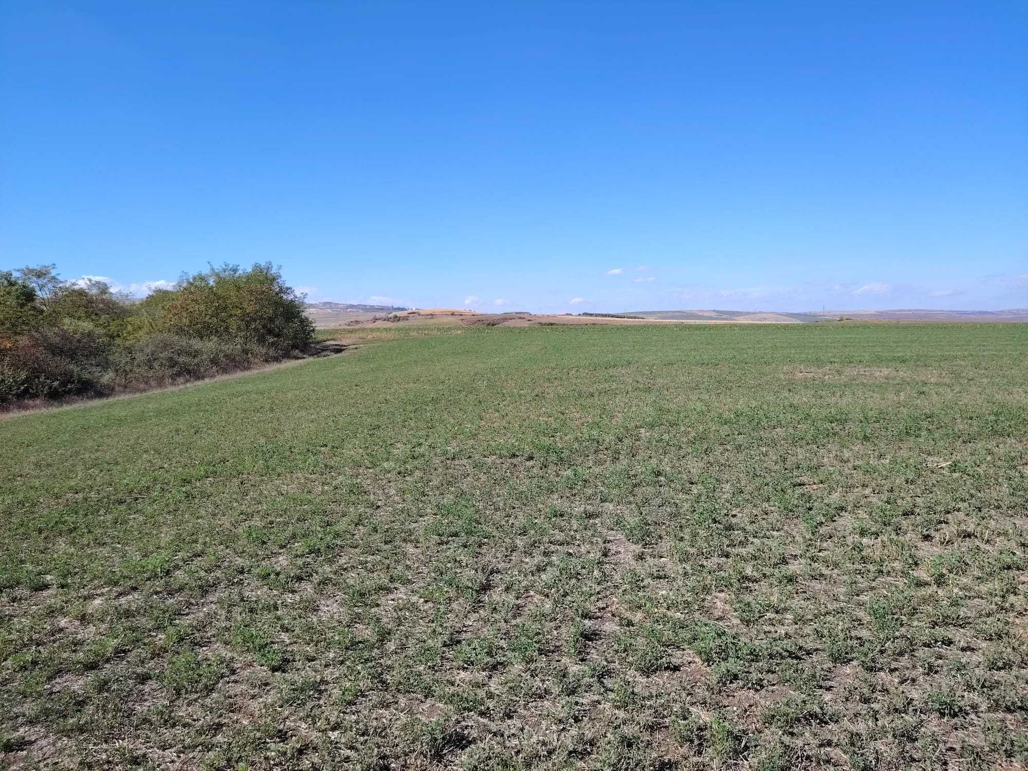 Teren de vânzare  8.700 mp Priveliști spectaculoase Investiție ideală
