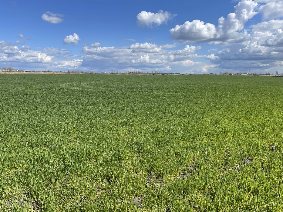 Vand teren Giarmata Vii