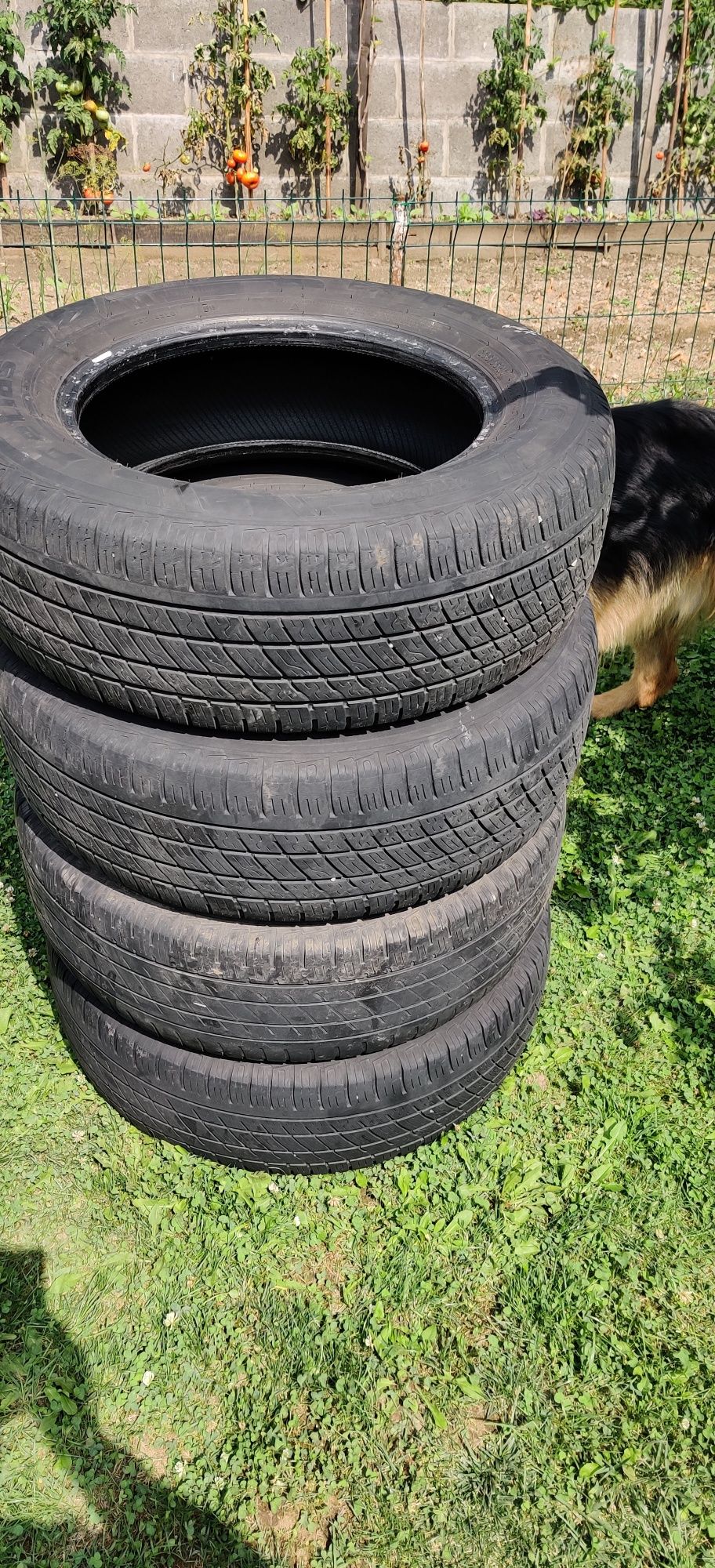 Petlas 235/65/17