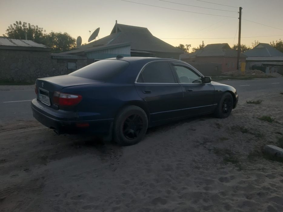 Все вопросы по телефону