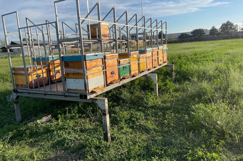 Modul apicol pentru 36 pozitii 10 rame ,robust