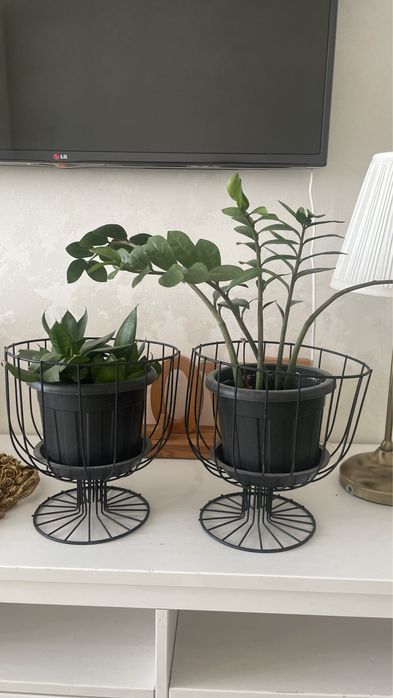 Горшки декоративные для цветов