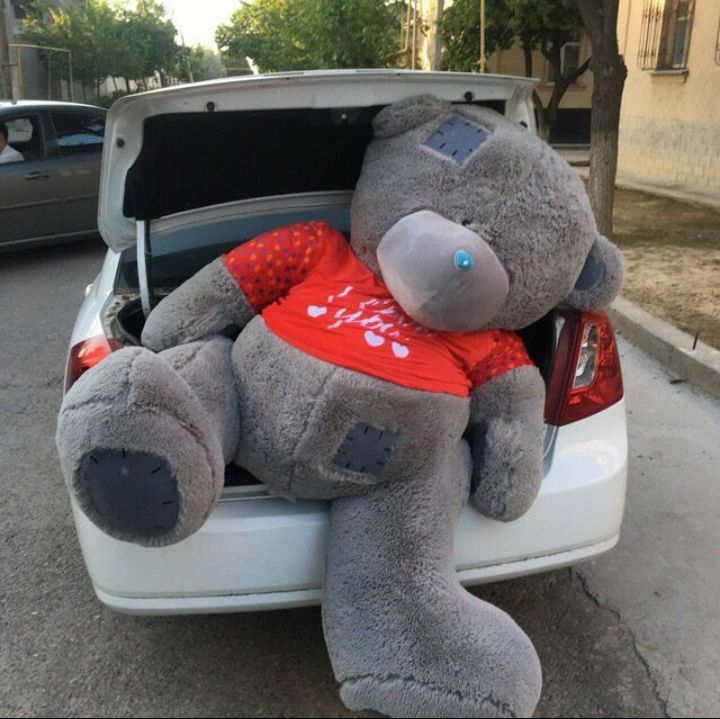 Teddi teddy teddiy