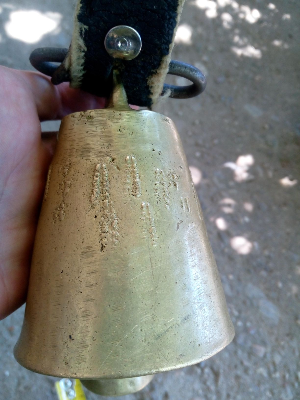 Продавам Чан Чанове