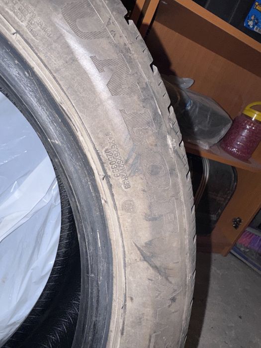 Зимни гуми 2 бр. Dunlop WinterSport 5 - 2024 г.