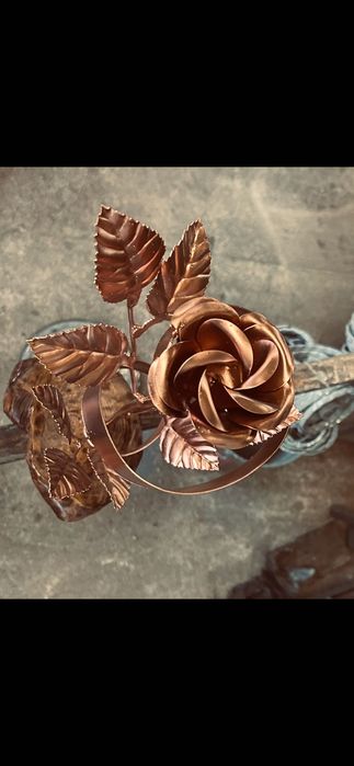 Врати ,огради и парапети от ковано желязо .