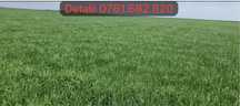 Vand 20 ha teren arabil 10.000€ fix / ha