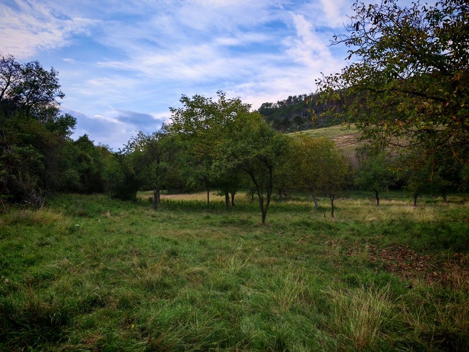 Teren de vânzare Vurpar