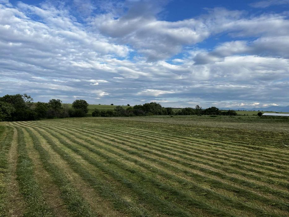 Продавам бали сено с малко люцерна