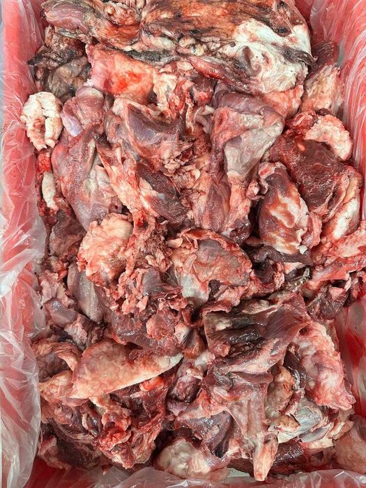 головное мясо говядина на фарш