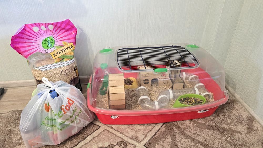 Хомяк с большой клеткой и кормом