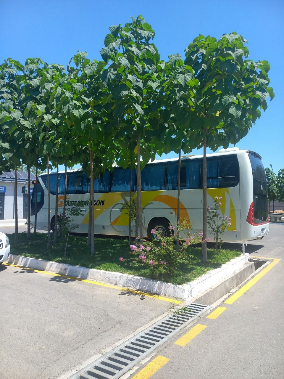 Golden Dragon sotiladi