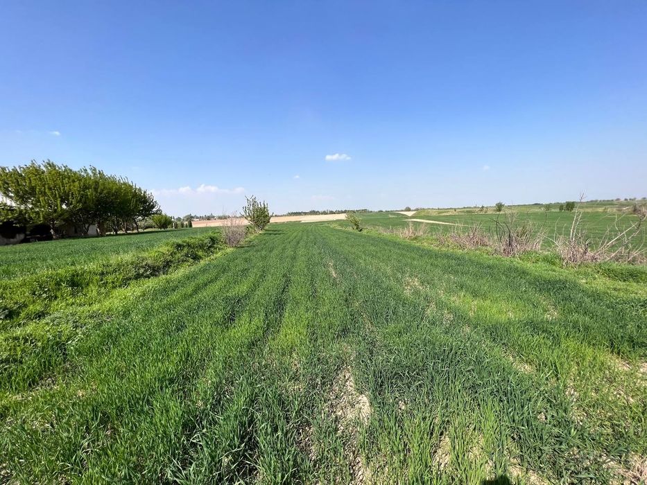 Срочна нотурар 150 сотих жойимиза сотилади