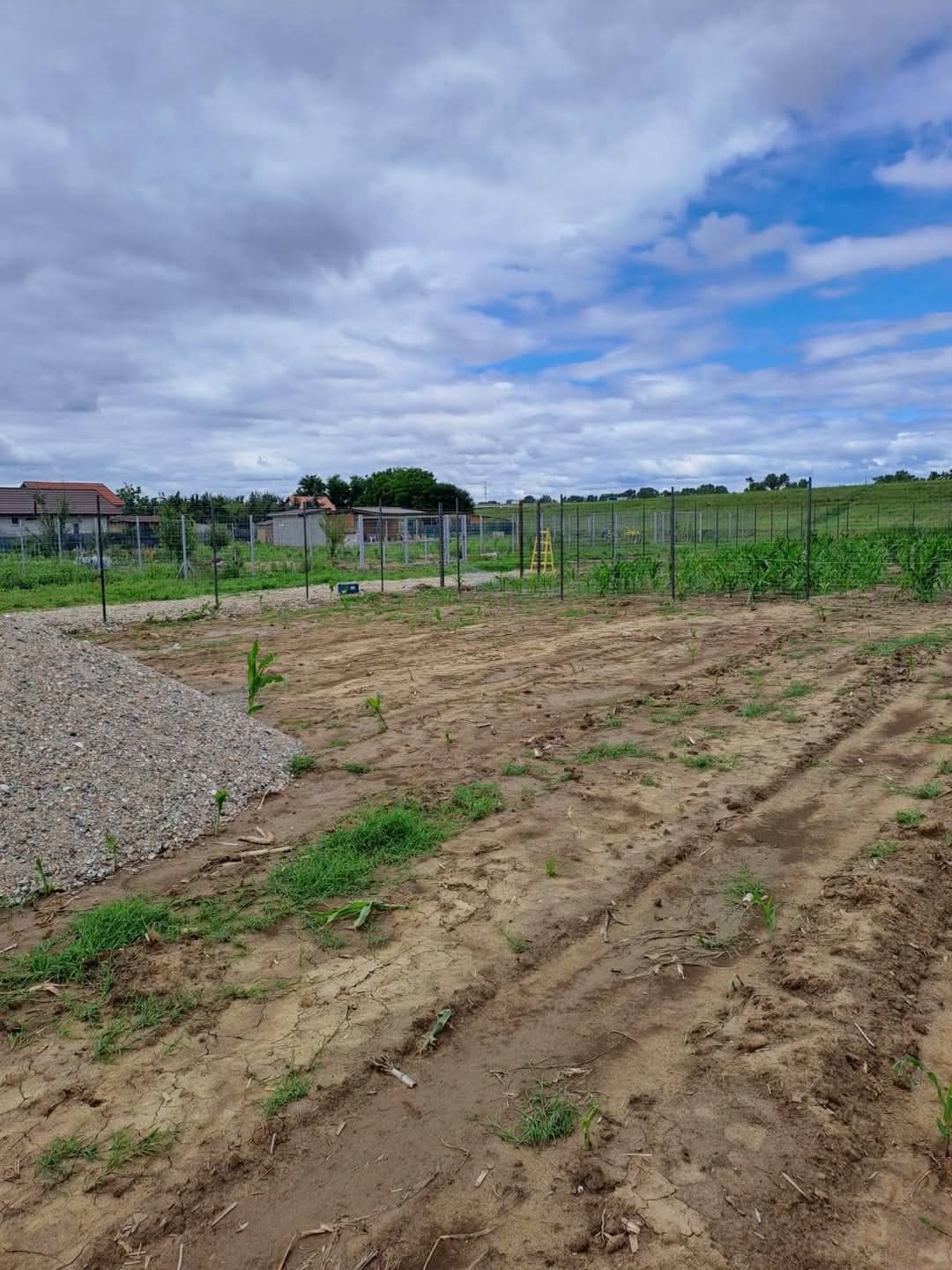 Vand teren 3 parcele de 7 ari  zona in spatele Hotelului Dana