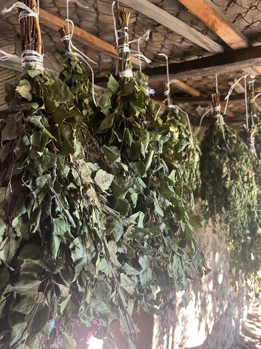 Веники для бани, береза