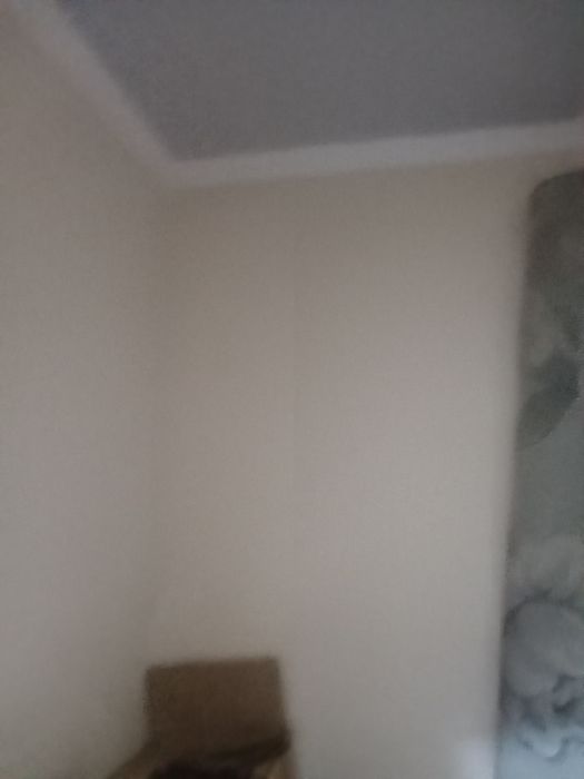 Уй ховли шинамгига