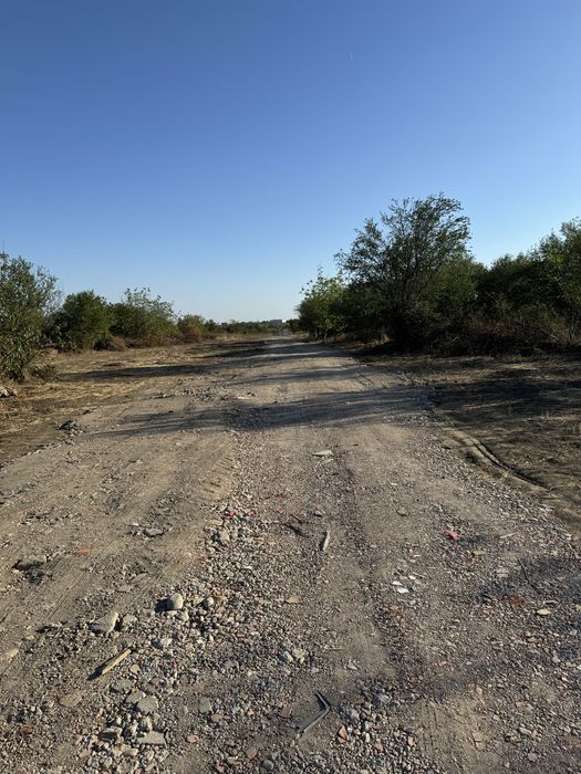 Teren soseaua Cernica-Pantelimon,350mp lebada lac