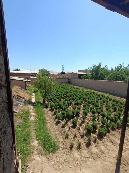 Продается участок Кибрай Чинават