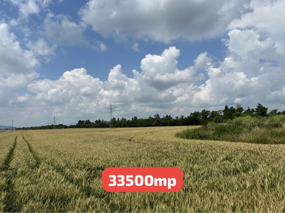 Teren de vânzare 33500mp Hărman, Brașov