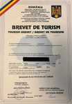 Inchiriez Brevet Turism-Manager in Activitatea de Turism