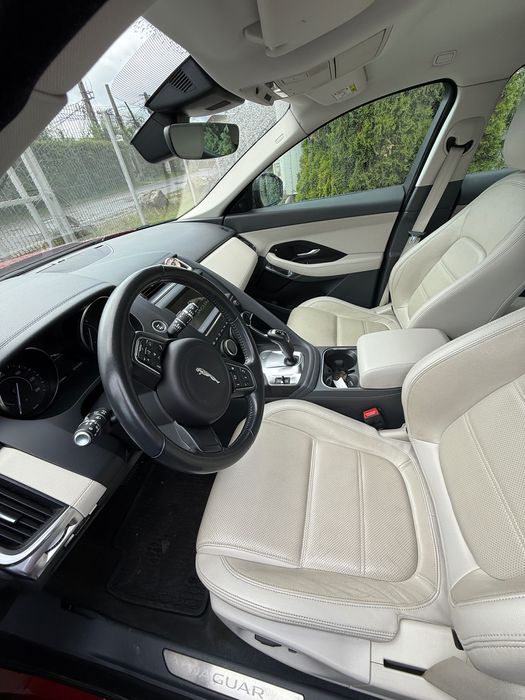 Jaguar e peace 2019