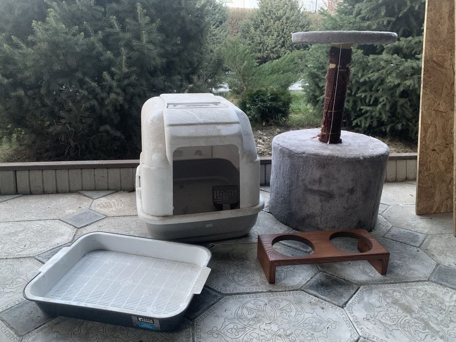 Отдам латок, кормушку и домик для кошки