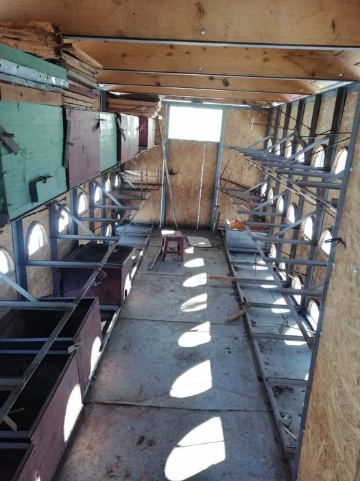 Vagon apicol 60 familii