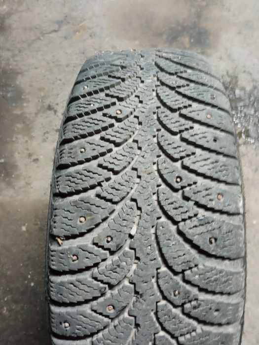 Шина одиночка шиповника