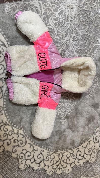 Демисезонный комбинезон весна-осень комплект двойка