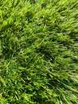 Gazon Artificial Premium, Fir 37 mm, Imitatie Perfecta Gazon Natural