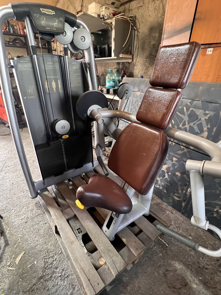 Aparat biceps technogym fitness
