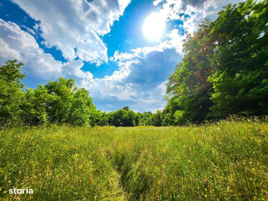 Teren 11700 mp în Valea Lungă, o oază de liniște, aer curat, verdeață