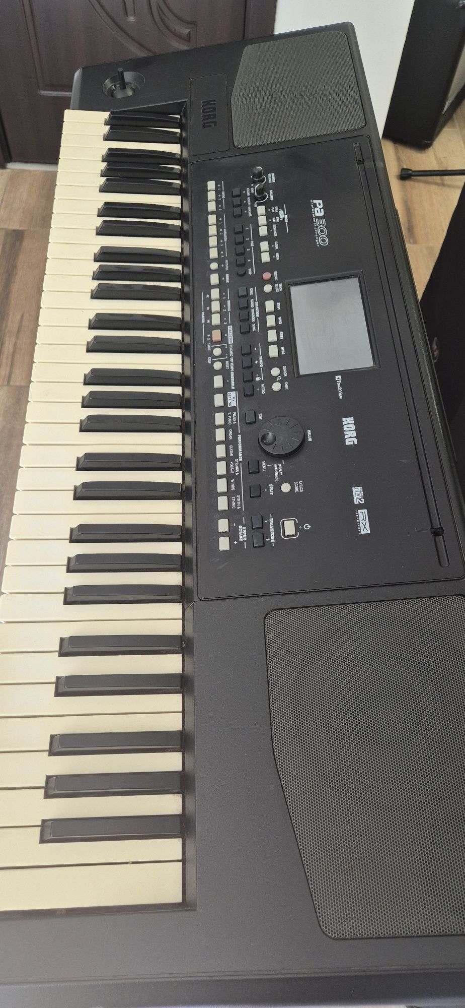Korg Pa 300  Корг Па 300