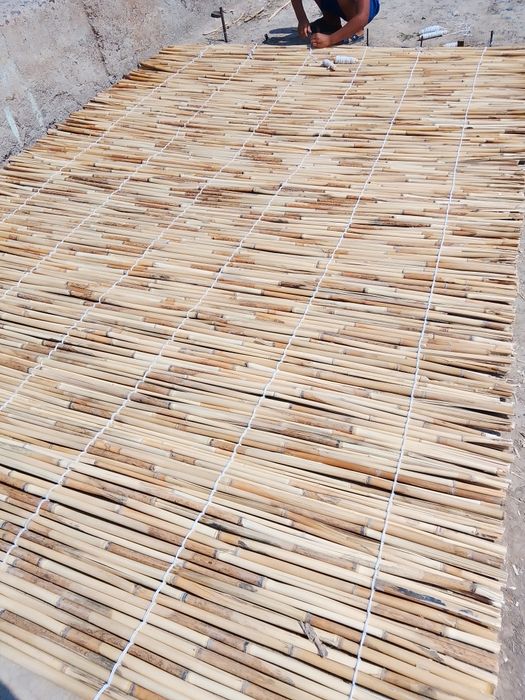 Камыс. Ши бар...