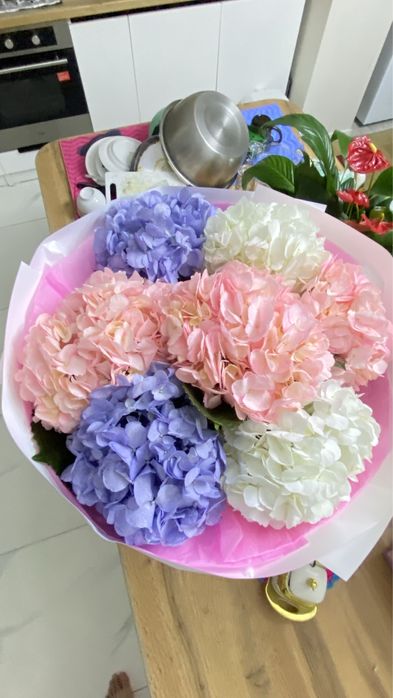 Цветый гартензия