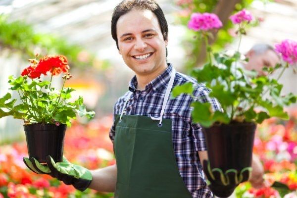 Флорист озеленение офиса, ресторан. Ландшафтный дизайн, садовник,