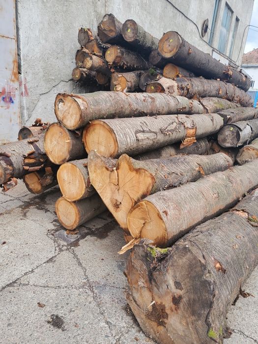 Cires cherestea uscata 8-10% netivita de 27 și 50