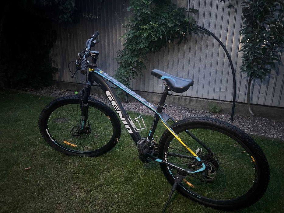 Bicicleta mountain bike