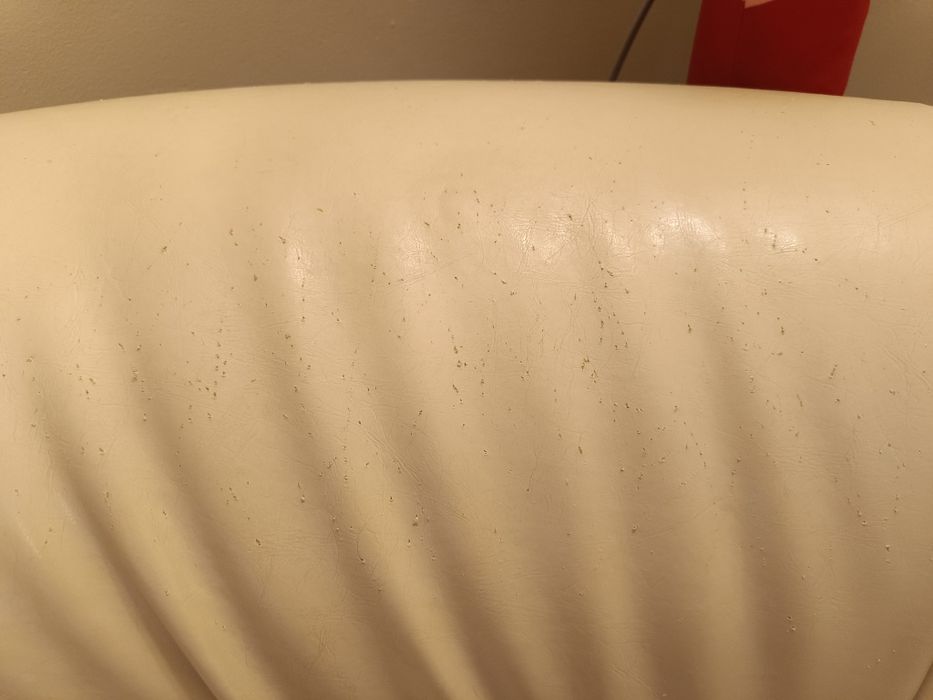 Диван еко кожа шампанско