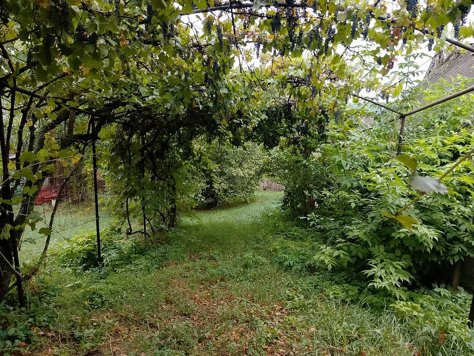 Dau in chirie casa in Turda,Cj,420 eur,zonă Bai,4 cam.,izolata termic,