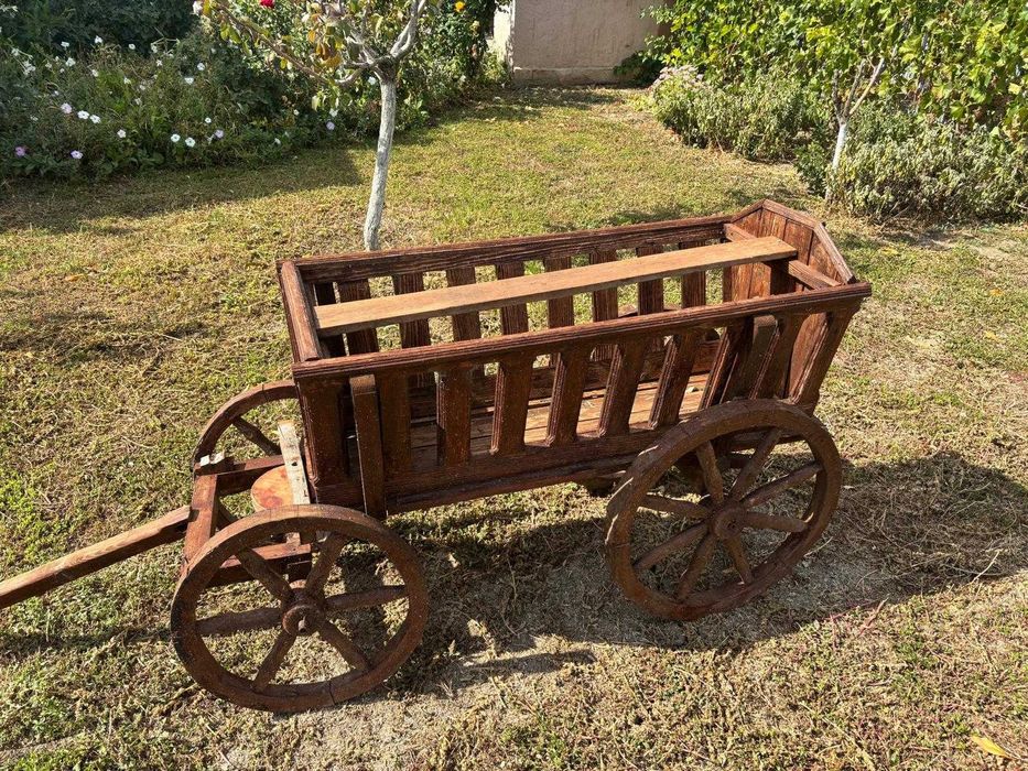 Car Decorativ pentru gradina