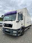 MAN Tgm 12.290 izoterm