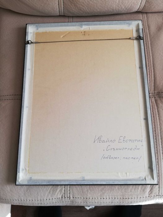 Ивайло Евстатиев-Слънчогледи