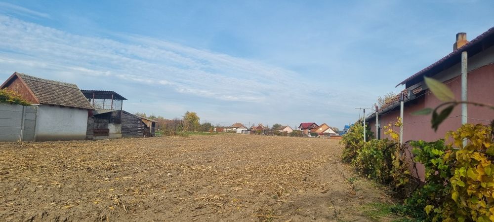 Vand teren intravilan 5493 cu utilitati , Mădăras