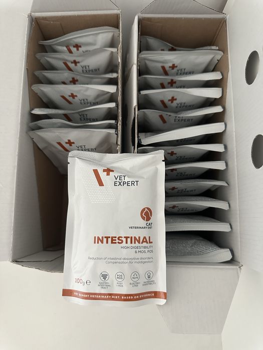 Vetexpert intestinal pisici hrana umeda/plic
