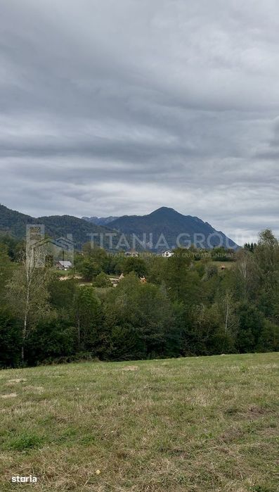 Teren intravilan, cu PUZ, Bran Tohanita, pârâu, pădure și priveliște d