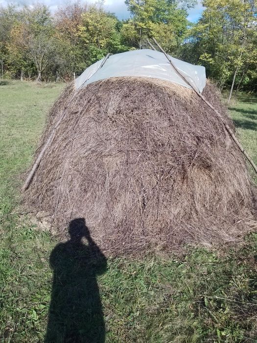 Fân  de bună calitate de vanzare