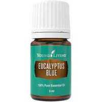 Ulei esential Eucalyptus Blue - Eucalipt albastru, Young Living 5 ml